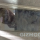 Illustration for article titled Are These the First Photos of the Samsung Galaxy SIII?